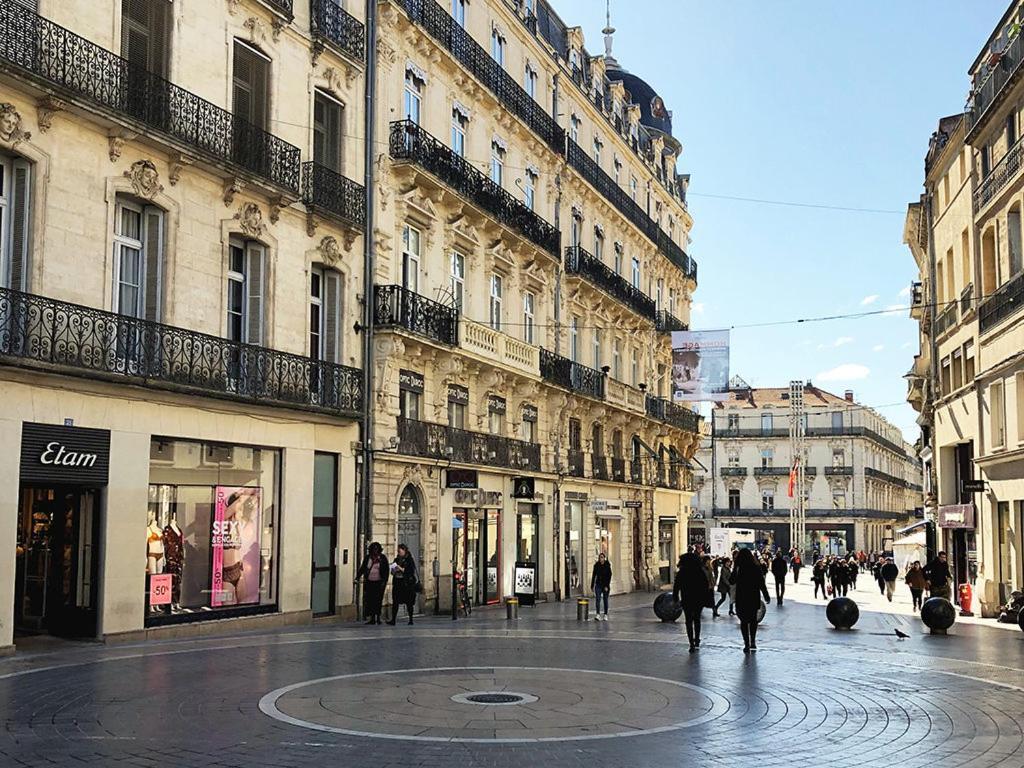 Le Havre De Paix Montpellierain - Terrasse Et Parking Prive Apartment ภายนอก รูปภาพ