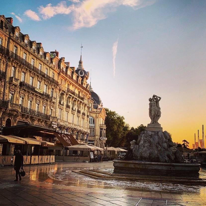 Le Havre De Paix Montpellierain - Terrasse Et Parking Prive Apartment ภายนอก รูปภาพ